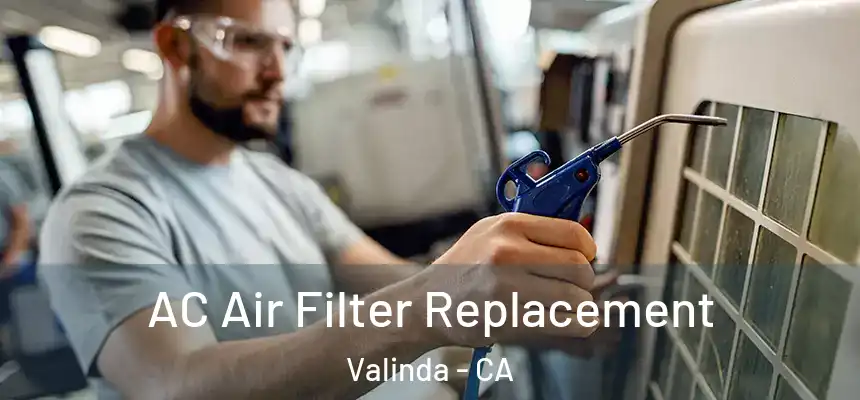 AC Air Filter Replacement Valinda - CA