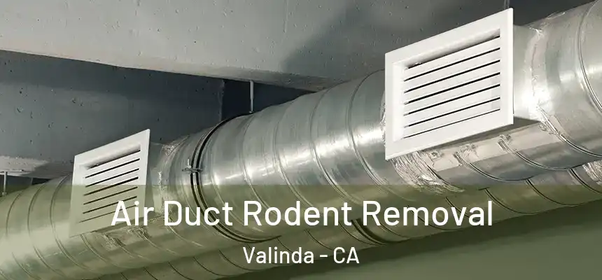 Air Duct Rodent Removal Valinda - CA