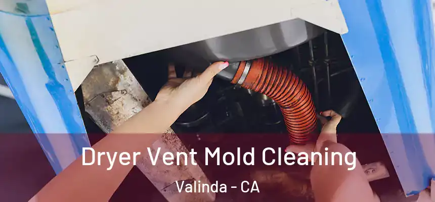  Dryer Vent Mold Cleaning Valinda - CA
