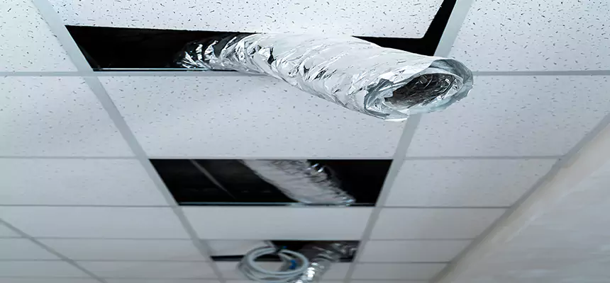 Affordable HVAC Sanitizing After Pest Removal in Valinda