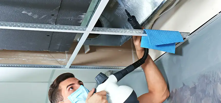 Our Air Duct Rodent Removal Services in Valinda, CA