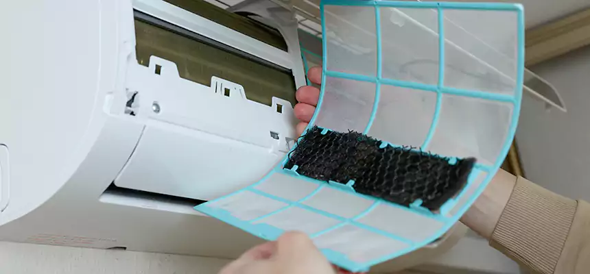 Gentle Ductwork Odor-Control Pet Dander Duct Cleaning in Valinda, CA