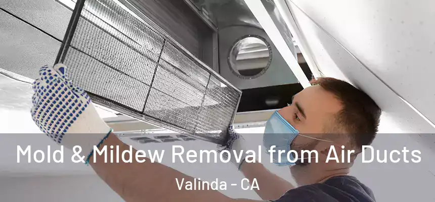  Mold & Mildew Removal from Air Ducts Valinda - CA