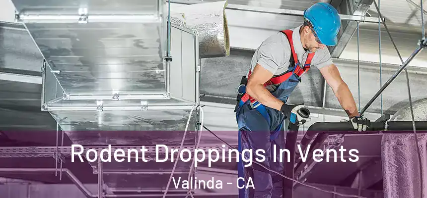  Rodent Droppings In Vents Valinda - CA