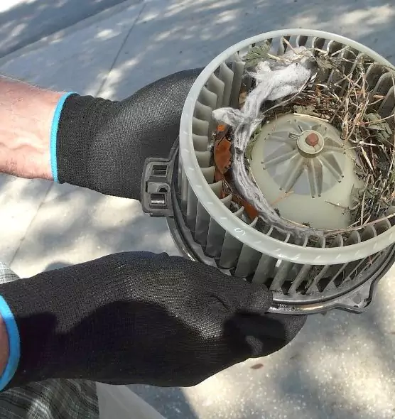 About Air Duct Mice Removal in Valinda, CA