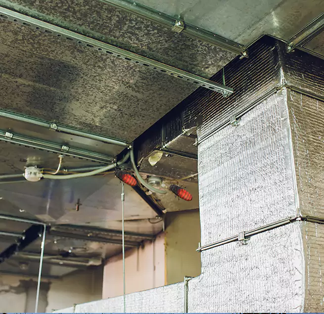 Why Homeowners & Businesses Trust Us in Valinda, CA?