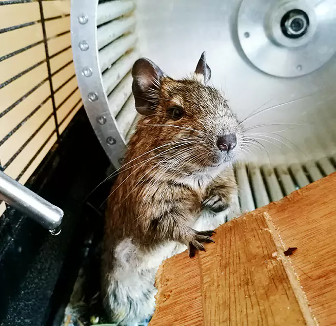 Why Homeowners & Businesses Trust Us Valinda, CA?